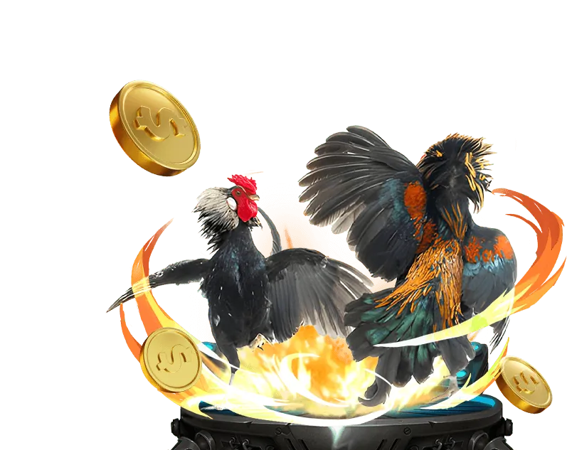 Tỷ lệ kèo đá gà hấp dẫn v99 casino